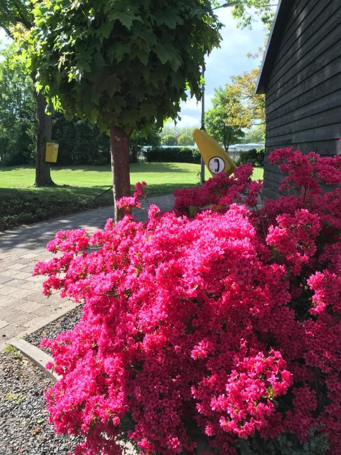 B&B De Prinsenhof Gassel Luaran gambar